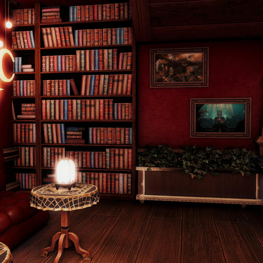 The Bookshelves